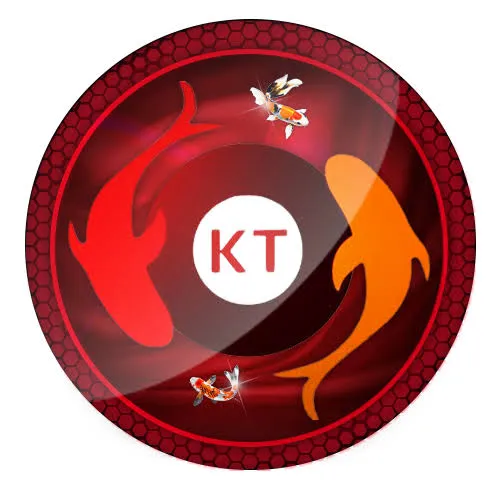 koitoto APK Battle Royale